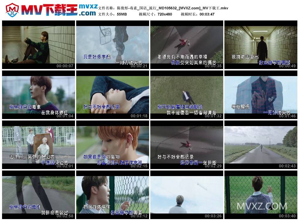 陈俊彤-毒素_国语_流行_MD105632